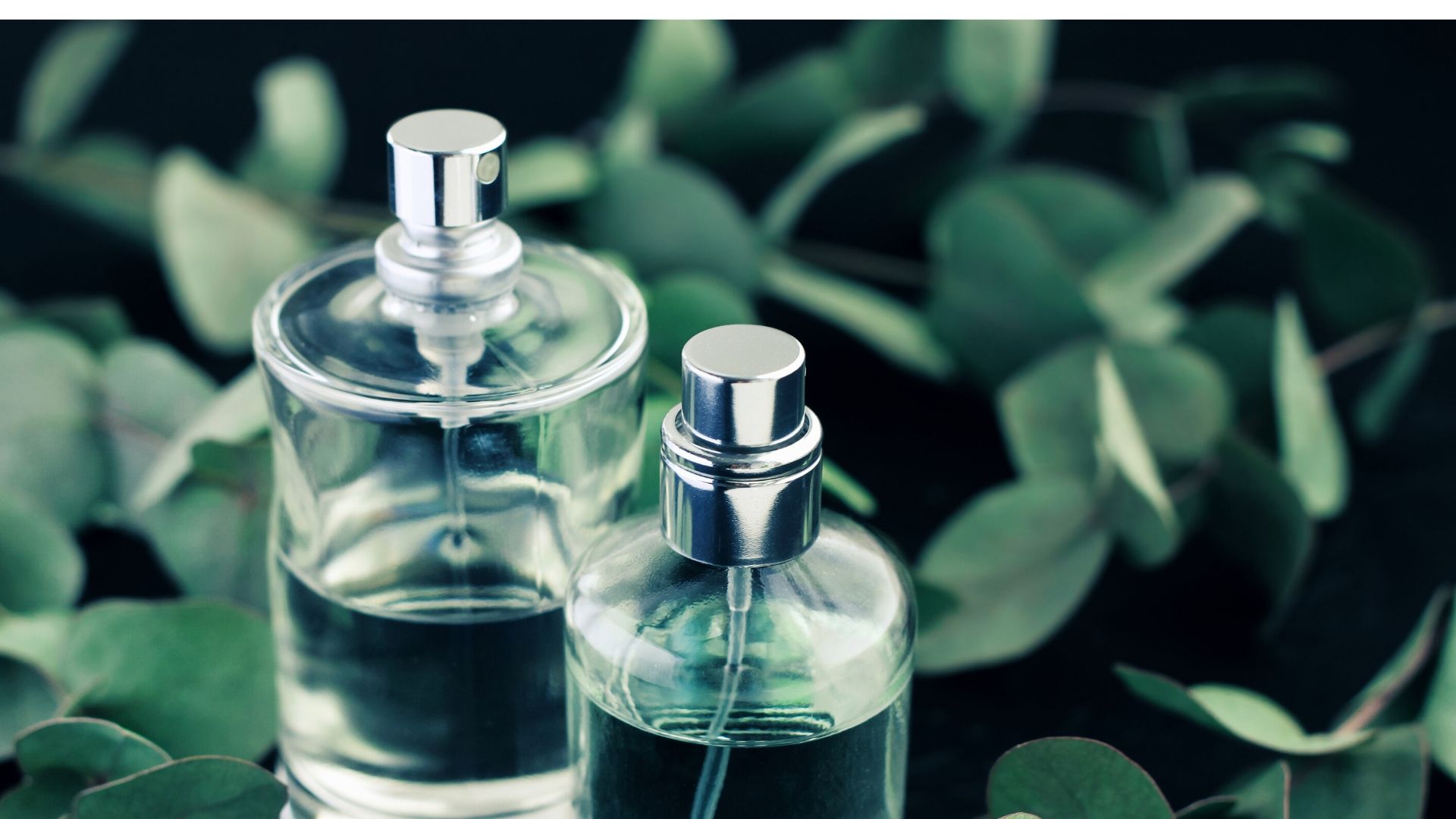 Il marketing sensoriale e l’importanza dei sensi nel processo d’acquisto