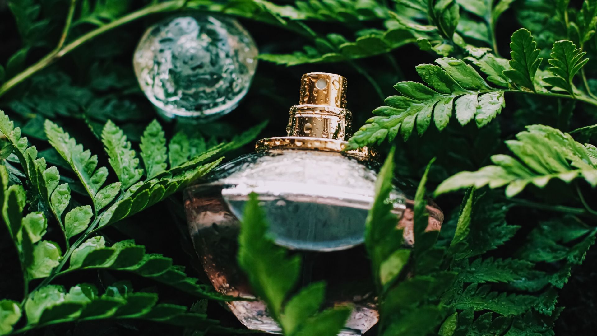 olfatto importante nel marketing