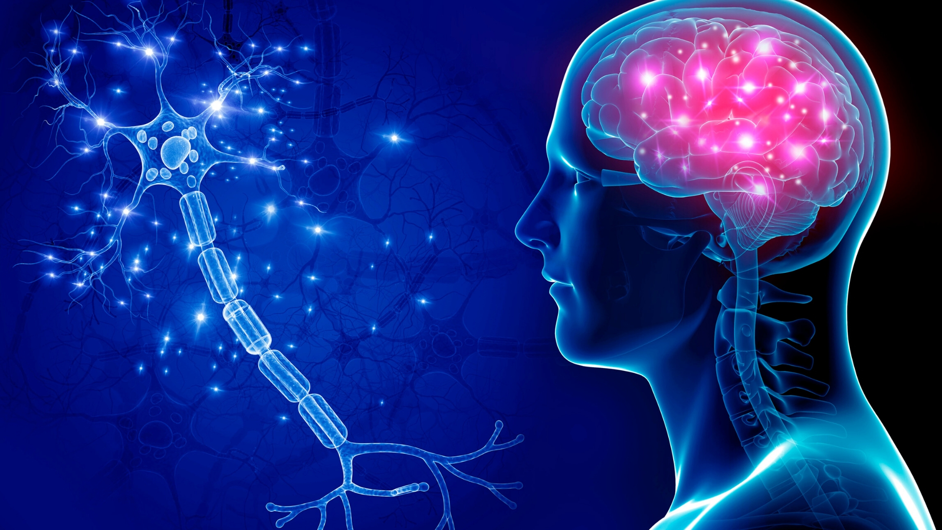 La razionalità nel processo d'acquisto