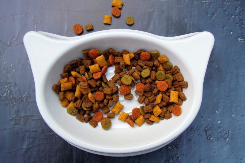 Il mercato del pet food in Italia