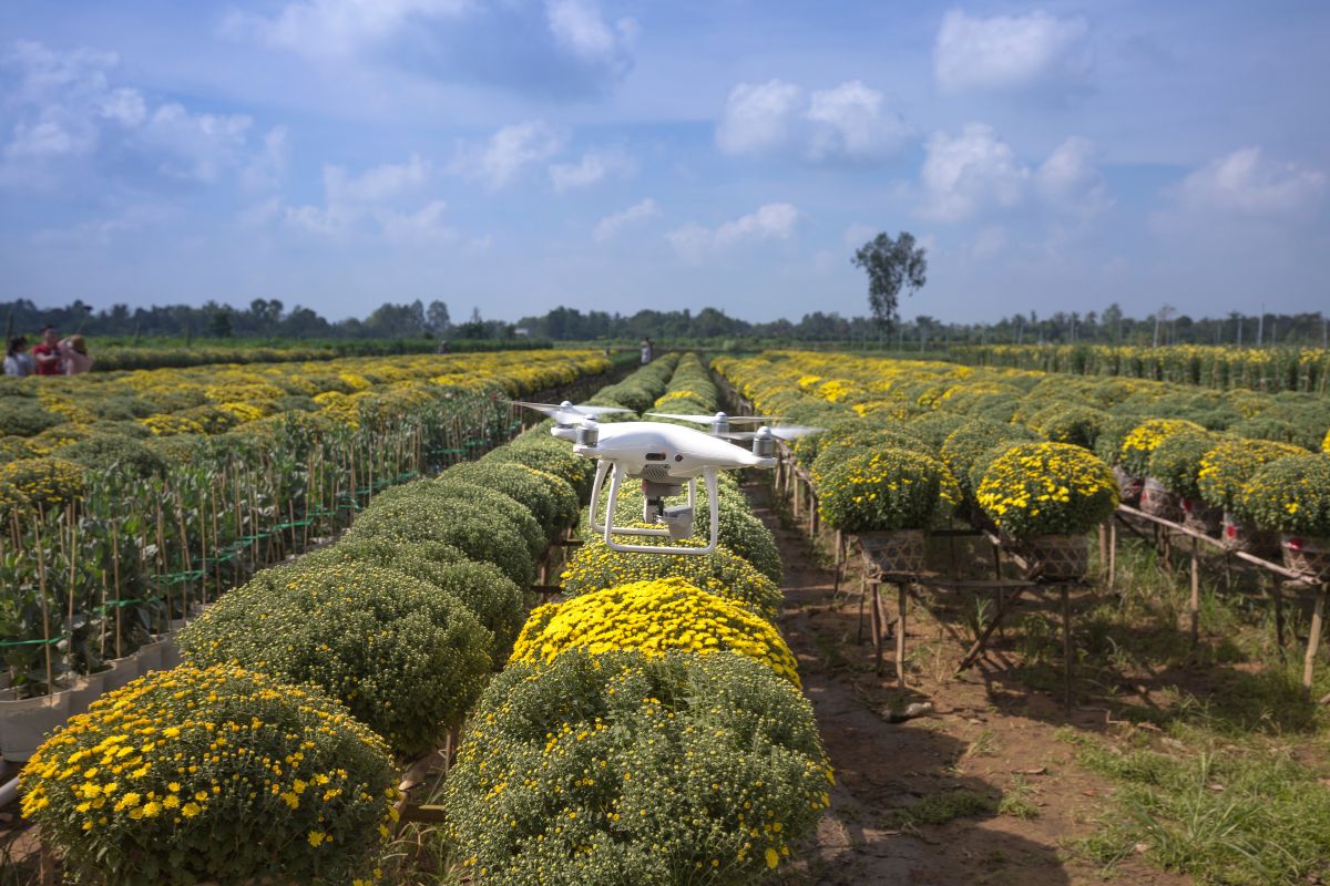 settore agricolo droni