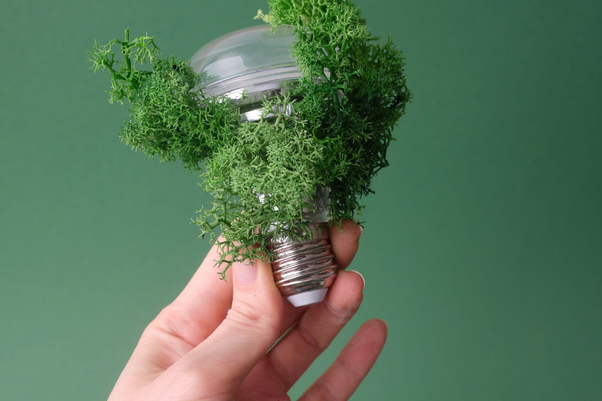 Sustainability Manager