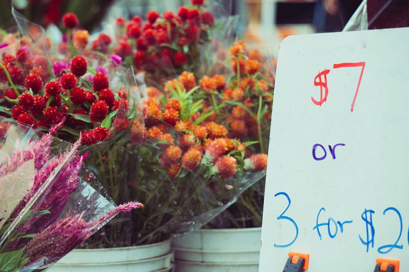 La psicologia del pricing: perché il valore percepito è determinato dal ...